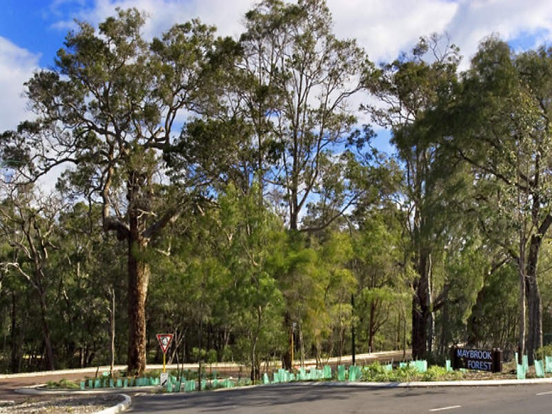 Cnr Maybrook Forest Estate Lots Sloan Drive & Okapa Rise, Dunsborough WA 6281