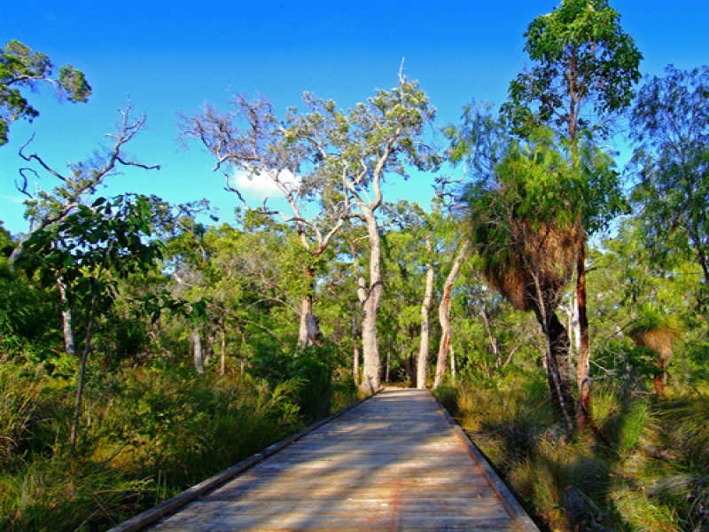 Cnr Maybrook Forest Estate Lots Sloan Drive & Okapa Rise, Dunsborough WA 6281