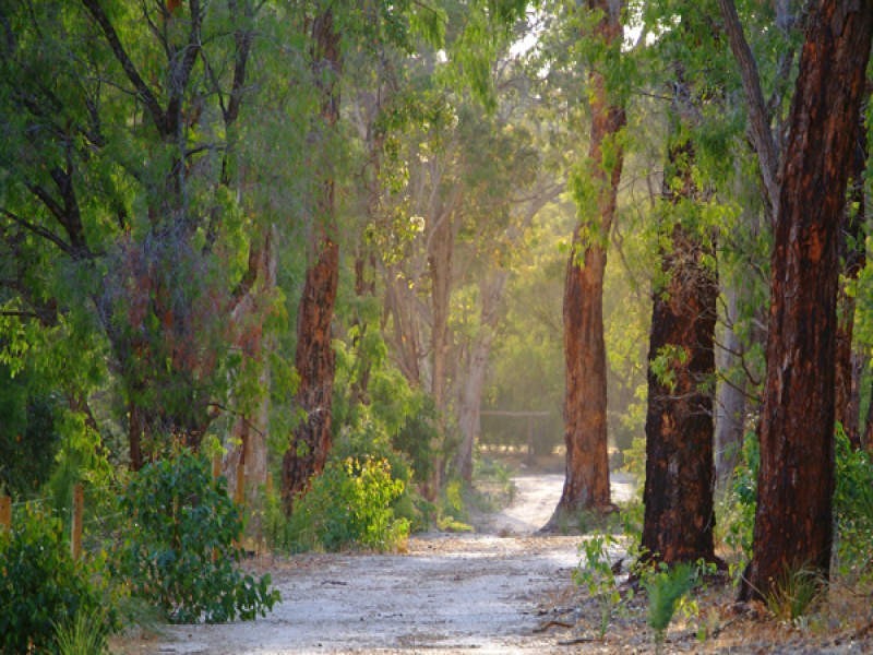 Cnr Maybrook Forest Estate Lots Sloan Drive & Okapa Rise, Dunsborough WA 6281