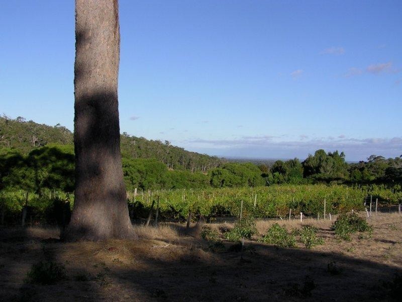 1172 Wildwood Road, Yallingup WA 6282