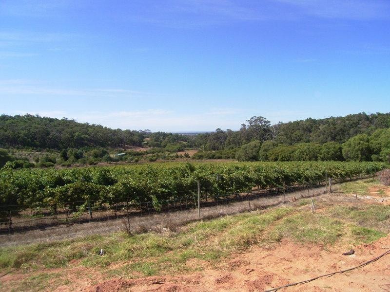 1172 Wildwood Road, Yallingup WA 6282
