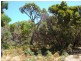 Lot 5 Kangaroo Parade, Yallingup WA 6282