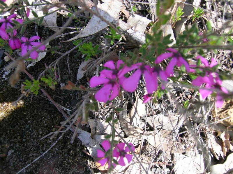 Lot 5 Kangaroo Parade, Yallingup WA 6282