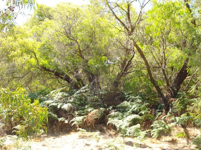 Lot 5 Kangaroo Parade, Yallingup WA 6282