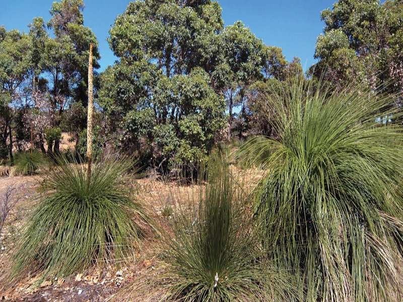 Lots Eagle Crescent, Eagle Bay WA 6281