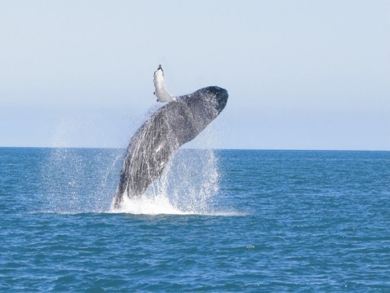 Lots Eagle Crescent, Eagle Bay WA 6281