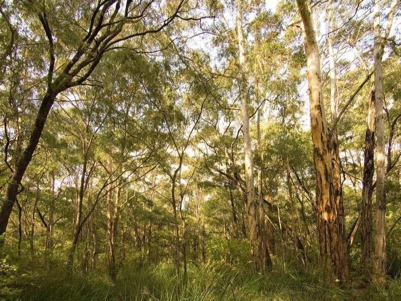 16 Wandoo Place, Cowaramup WA 6284