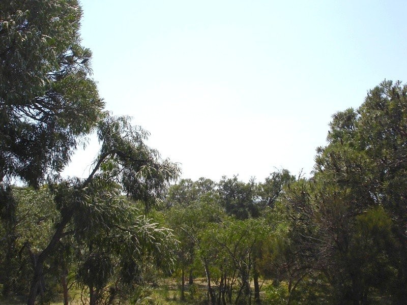 68 Sainsbury Loop, Yallingup WA 6282