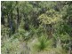 68 Sainsbury Loop, Yallingup WA 6282