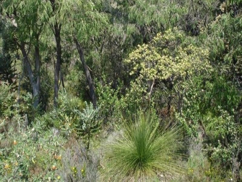 68 Sainsbury Loop, Yallingup WA 6282