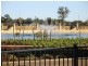 19 Harrow Terrace, Vasse WA 6280