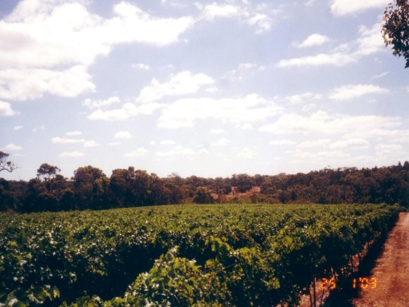 Margaret River WA 6285