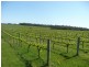 Lot 1744, Wirring Road, Cowaramup WA 6284