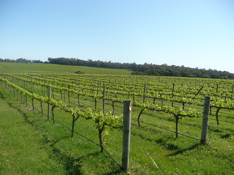 Lot 1744, Wirring Road, Cowaramup WA 6284