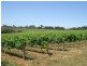 Lot 1744, Wirring Road, Cowaramup WA 6284