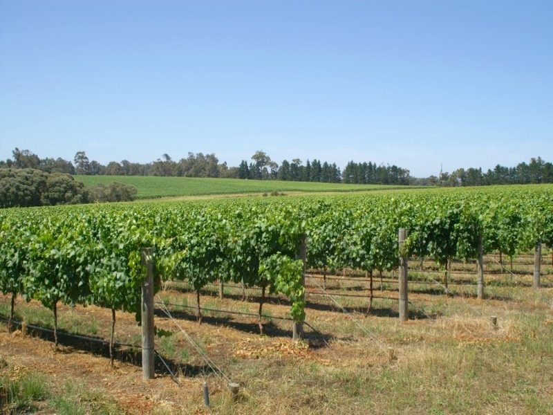 Lot 1744, Wirring Road, Cowaramup WA 6284