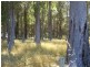 Lot 1744, Wirring Road, Cowaramup WA 6284