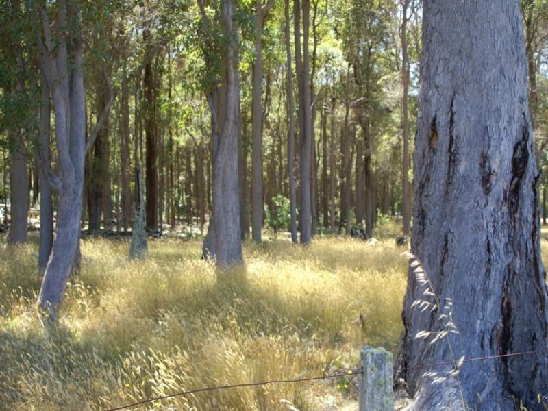 Lot 1744, Wirring Road, Cowaramup WA 6284
