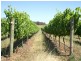 Lot 1744, Wirring Road, Cowaramup WA 6284
