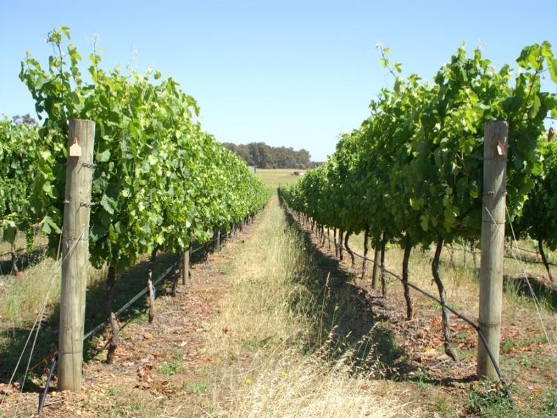 Lot 1744, Wirring Road, Cowaramup WA 6284