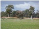Busselton WA 6280