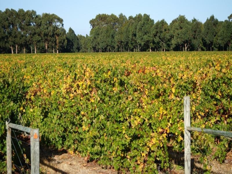 Lot 26,  Caves Road Wilyabrup, Margaret River WA 6285