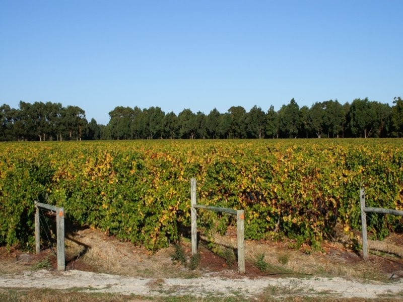 Lot 26,  Caves Road Wilyabrup, Margaret River WA 6285