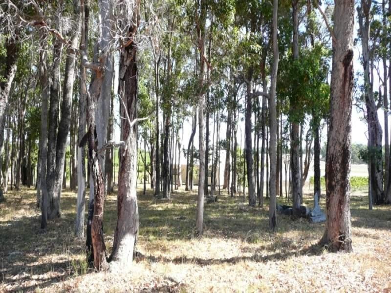 Margaret River WA 6285