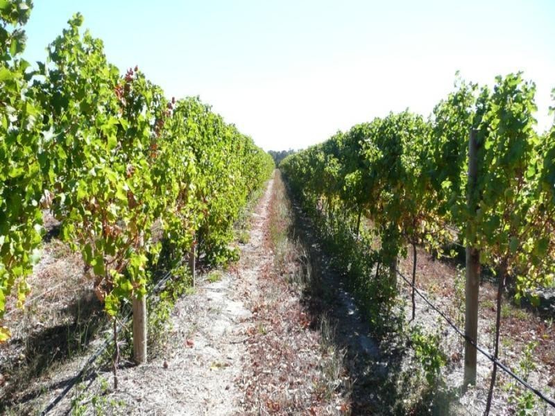 Margaret River WA 6285