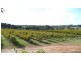 Margaret River WA 6285