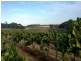 Margaret River WA 6285