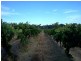 Margaret River WA 6285