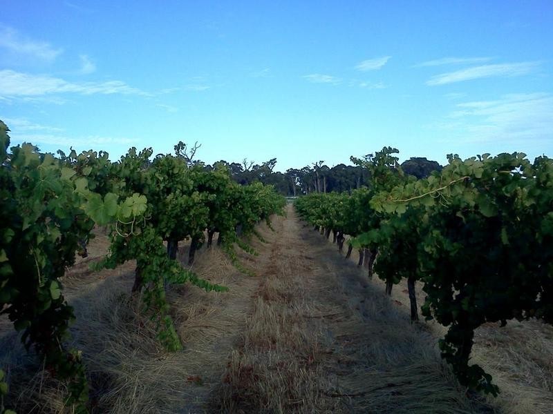 Margaret River WA 6285