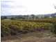 Margaret River WA 6285