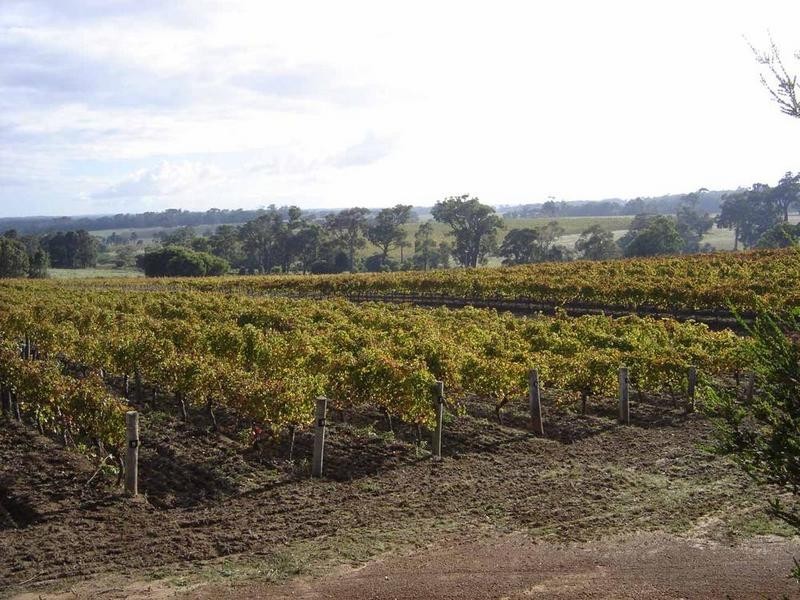 Margaret River WA 6285