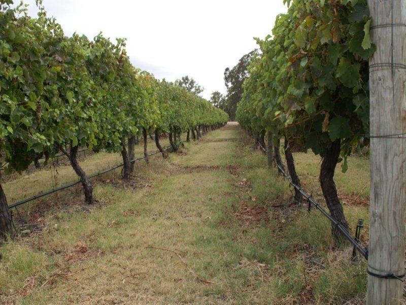 Margaret River WA 6285