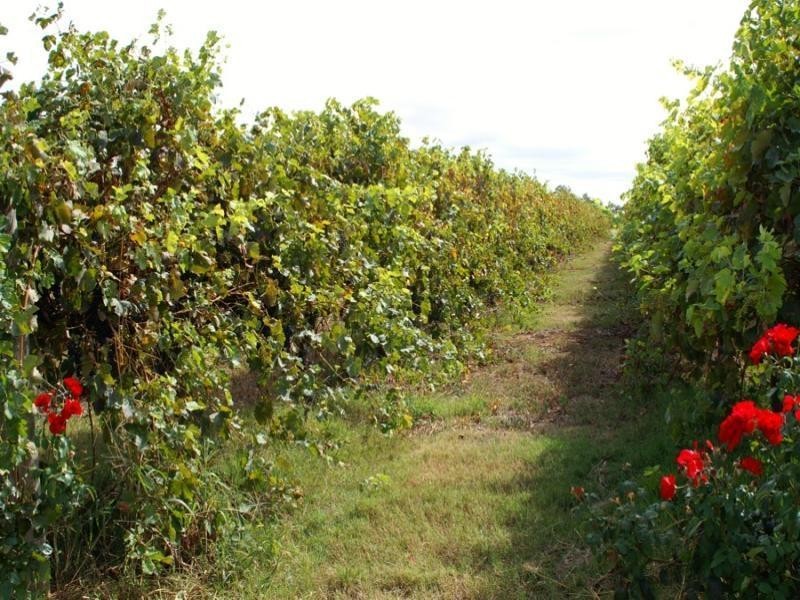 Margaret River WA 6285