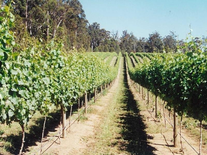 Margaret River WA 6285