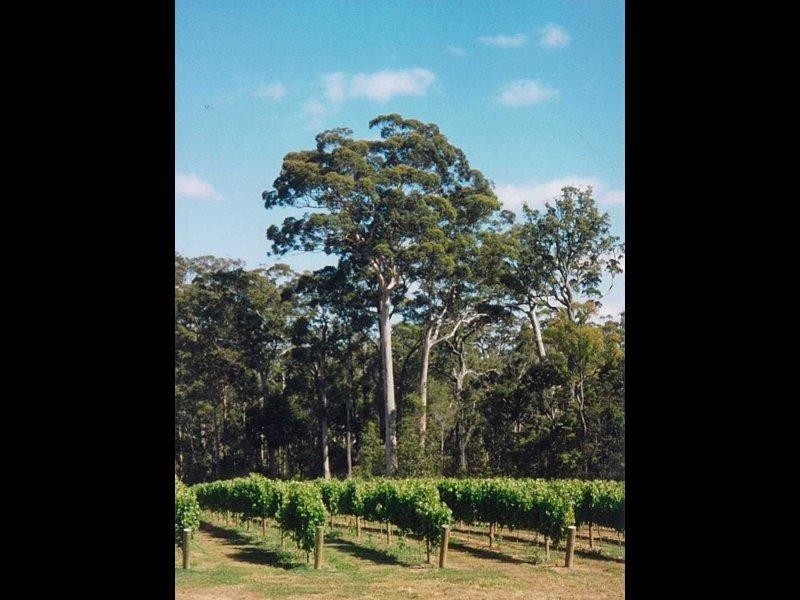 Margaret River WA 6285