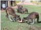 Busselton WA 6280