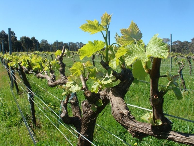 Margaret River WA 6285