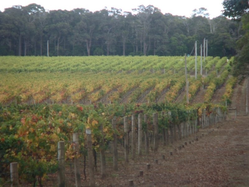 Margaret River WA 6285