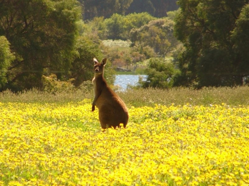 Margaret River WA 6285