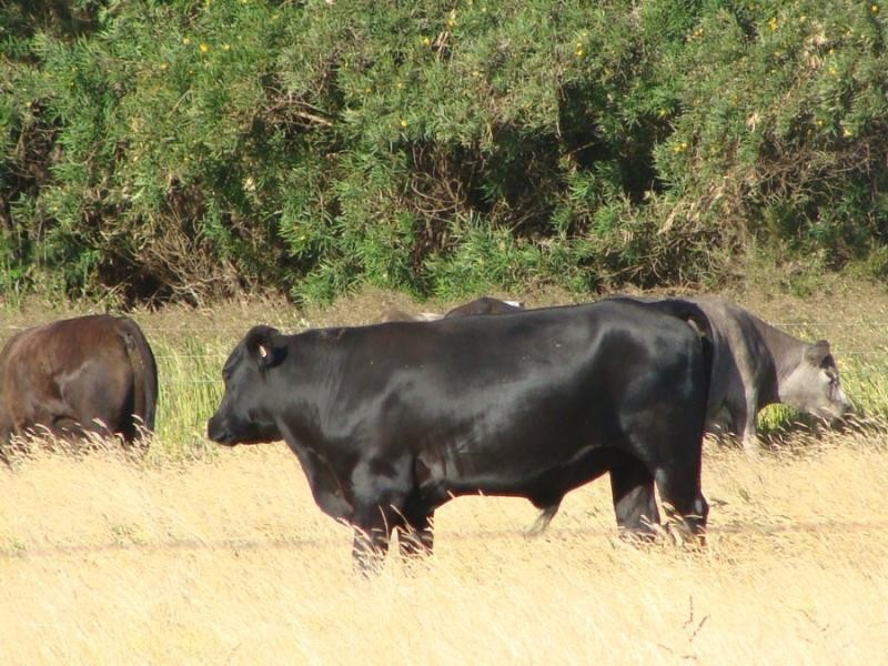 Margaret River WA 6285