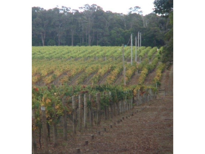 Margaret River WA 6285