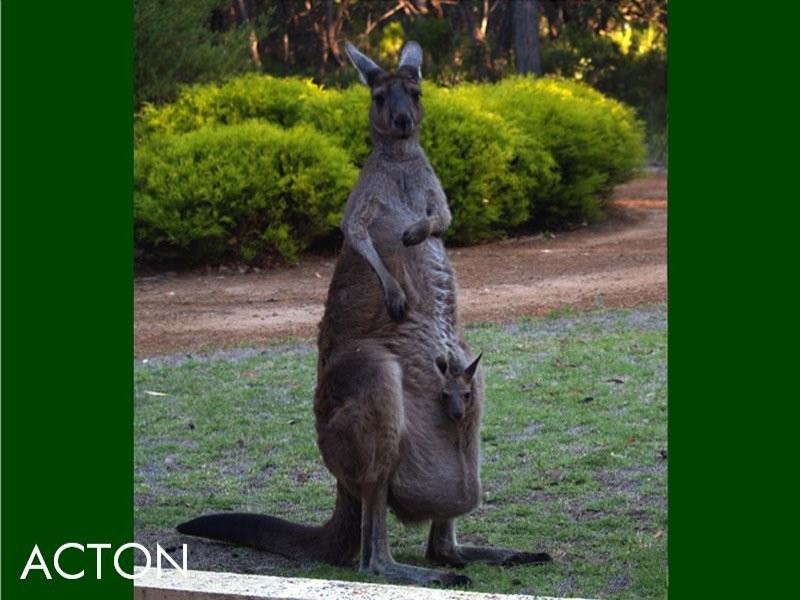 24 Vickery Road, Yelverton WA 6280