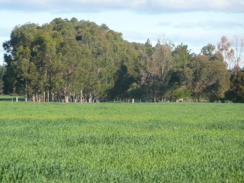 Lot 60 Vasse Highway Yoongarillup, Busselton WA 6280