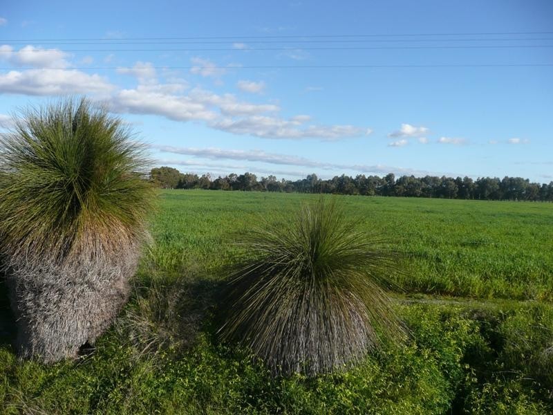 Lot 60 Vasse Highway Yoongarillup, Busselton WA 6280