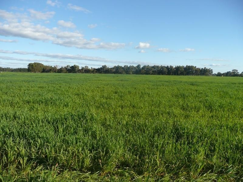 Lot 60 Vasse Highway Yoongarillup, Busselton WA 6280