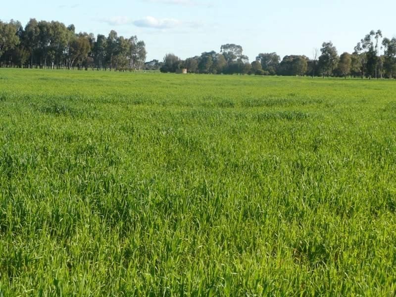 Lot 60 Vasse Highway Yoongarillup, Busselton WA 6280